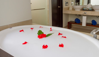 Select Club Adults Only - Sandos Caracol Eco Resort & Spa - All Inclusive - Cancun, Mexico Select Club Adults Only - Sandos Caracol Eco Resort & Spa - All Inclusive - Cancun, Mexico